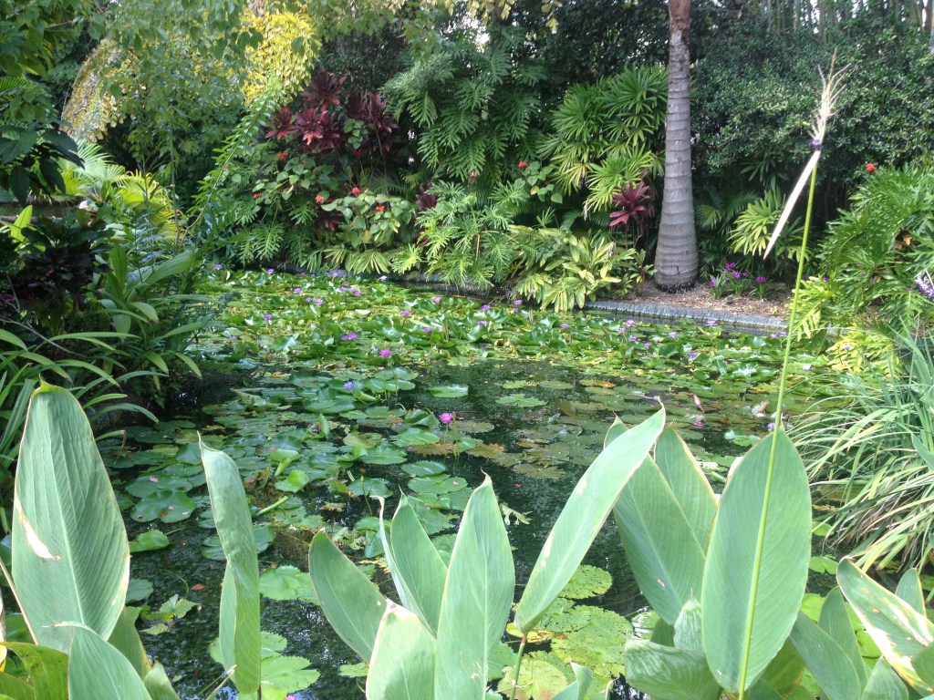 Lily Pond, Jurassic Park, Universal's Islands of Adventure