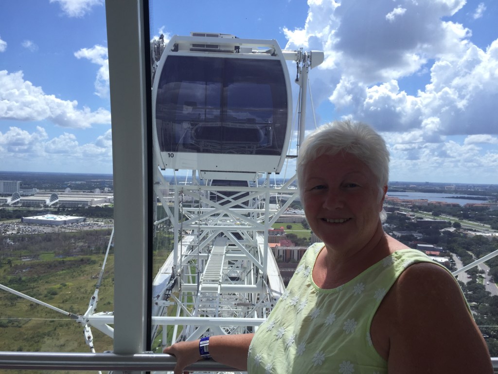 View from inside a capsule at The Wheel, Orlando